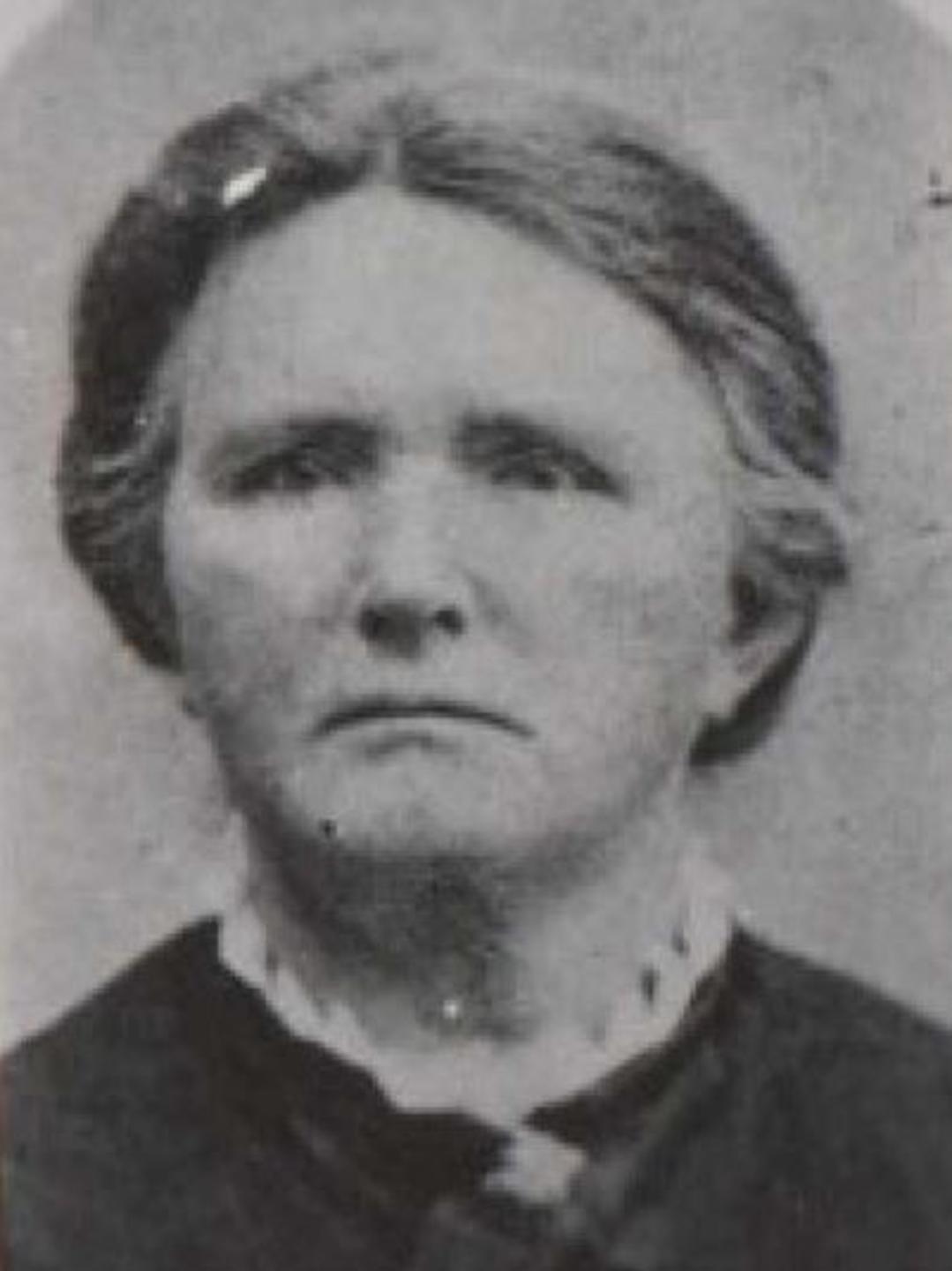 Gilead Taylor (1830 - 1901) Profile